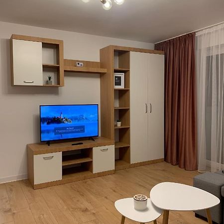 Sunny Apartment In Suceava Exterior photo